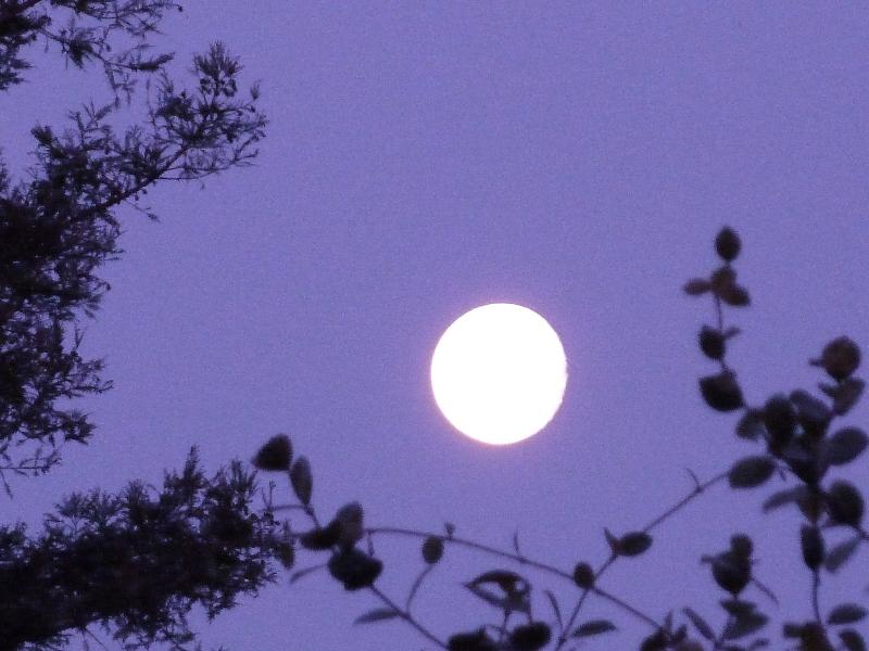 Luna su Cormòns