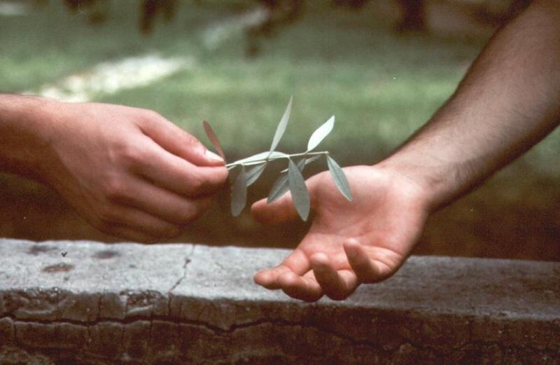 Beati gli operatori di pace