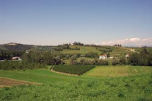 FOTO DOLEGNA