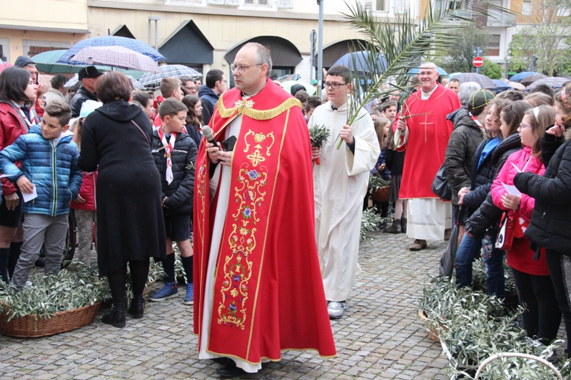 domenica delle palme