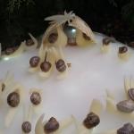 Presepe 14