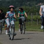 Cliccare sull'immagine per ingrandirla