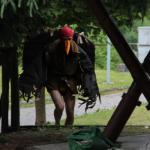 Cliccare sull'immagine per ingrandirla