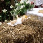 Cliccare sull'immagine per ingrandirla