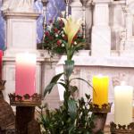 Cliccare sull'immagine per ingrandirla