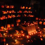 Intaglio zucche a Borgnano (30/10/2016)