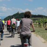 Cliccare sull'immagine per ingrandirla
