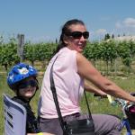 Cliccare sull'immagine per ingrandirla