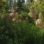 Cliccare sull'immagine per ingrandirla