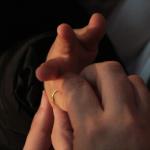 Cliccare sull'immagine per ingrandirla