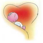 Cliccare sull'immagine per ingrandirla