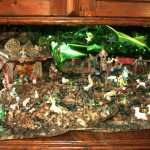 Cliccare per vedere la galleria delle immagini