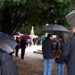 Cliccare sull'immagine per ingrandirla