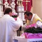 Cliccare sull'immagine per ingrandirla