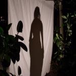 Cliccare sull'immagine per ingrandirla