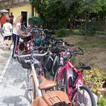 Cliccare sull'immagine per ingrandirla
