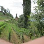 Cliccare sull'immagine per ingrandirla