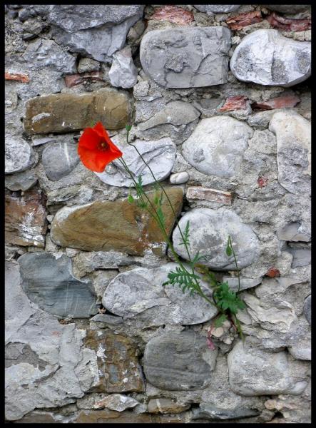 Vincitrice del Concorso "Life Picture 2012" 
