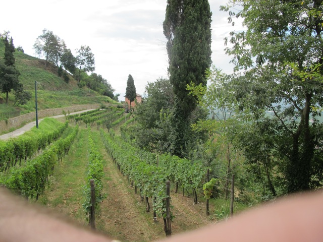 Collio